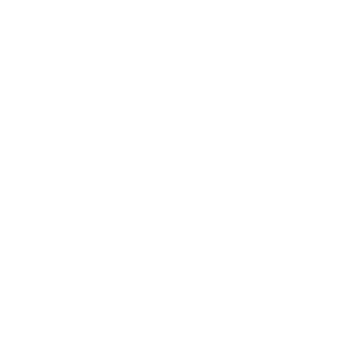 ESSERPENT × N2G